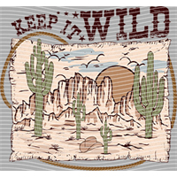 Country music-CM-947